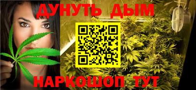 индика Пушкино