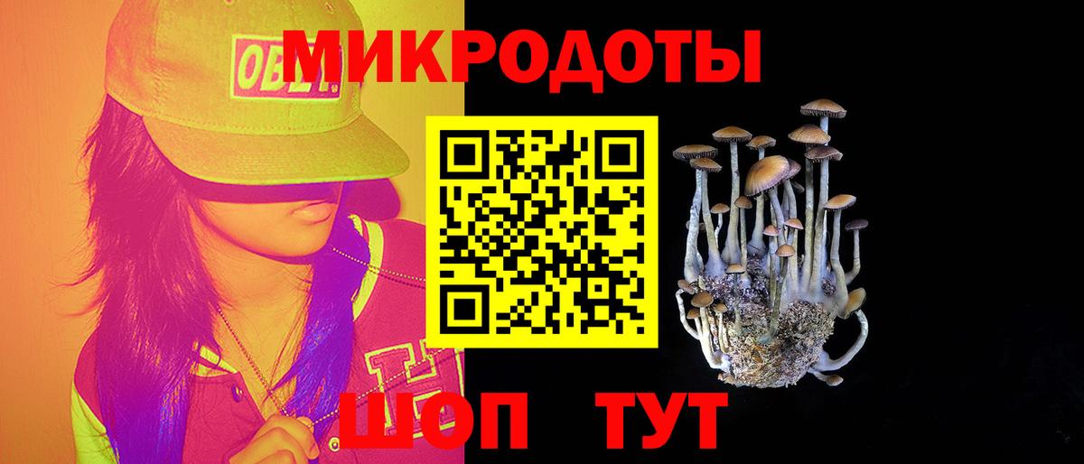Галлюциногенные грибы мухоморы Нижнеудинск
